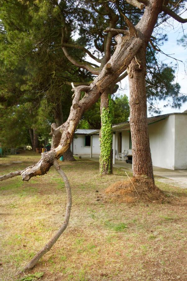 Natura Cavallino-Treporti Exterior foto